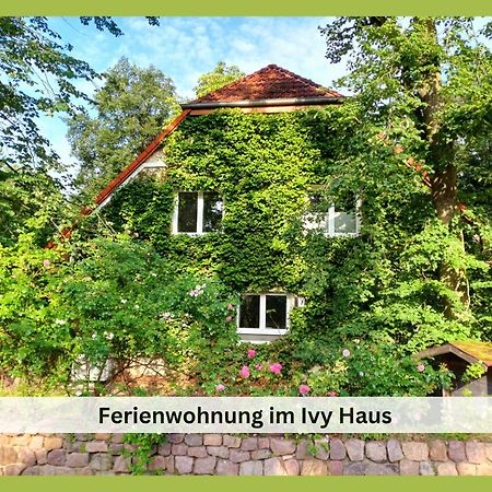 Ivy Haus Falkensee Exterior foto
